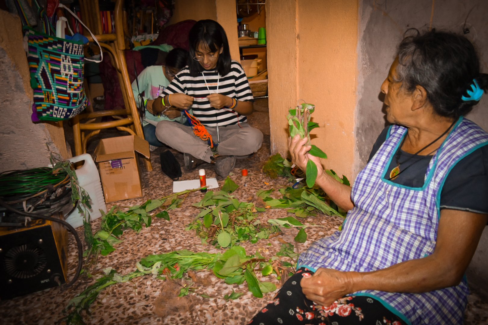  La abuela en un espacio con señoritas, identificando plantas y enseñando sus propiedad y formas de conservación. Foto de Maylin Hernández 